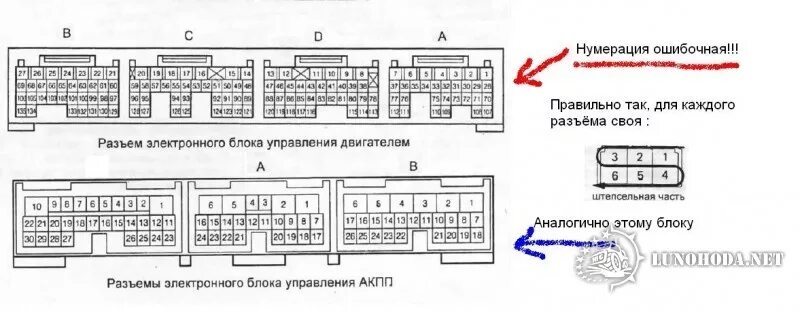 Подключение блока управления 1kr fe Лунохода.Нет - Идентификация разъемов