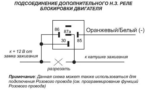 Подключение блокировки двигателя Сигнализация блокирует запуск двигателя: что делать?