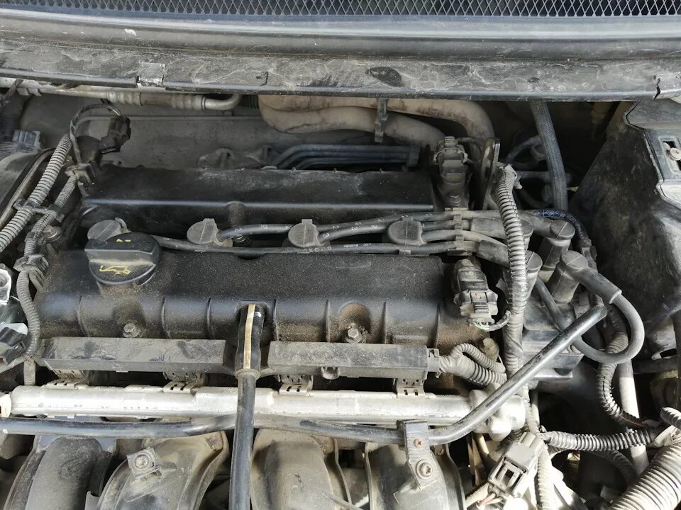 Подключение бронепроводов форд фокус 1 Бронепровода FoMoCo - Ford Focus II Sedan, 1,6 л, 2005 года запчасти DRIVE2