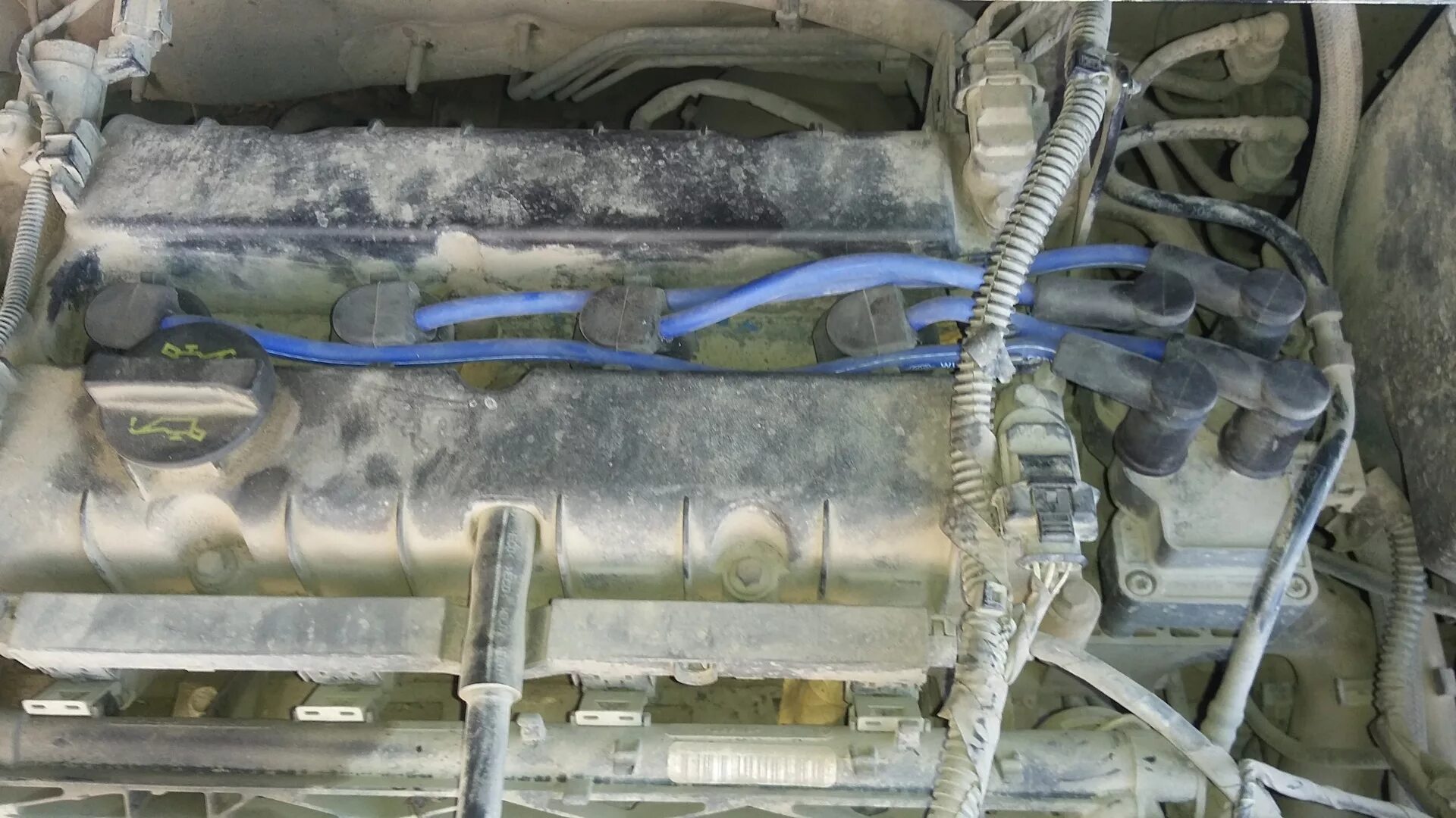 Подключение бронепроводов форд фокус 2 Бронепровода новые + свечи - Ford Focus II Hatchback, 1,6 л, 2008 года запчасти 