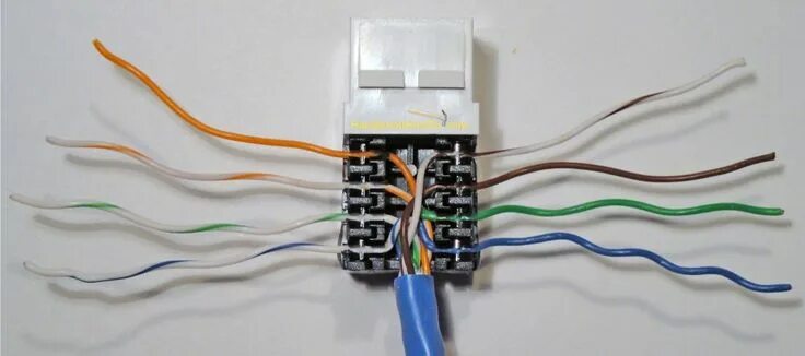 Подключение cat 5e розетка шнайдер Completed Cat5e Ethernet Jack Wire Punchdown Wall jack, Phone jack, Home network
