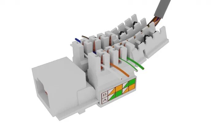 Подключение cat 5e розетка шнайдер Как подключить интернет-розетку Кабельная компания МКС