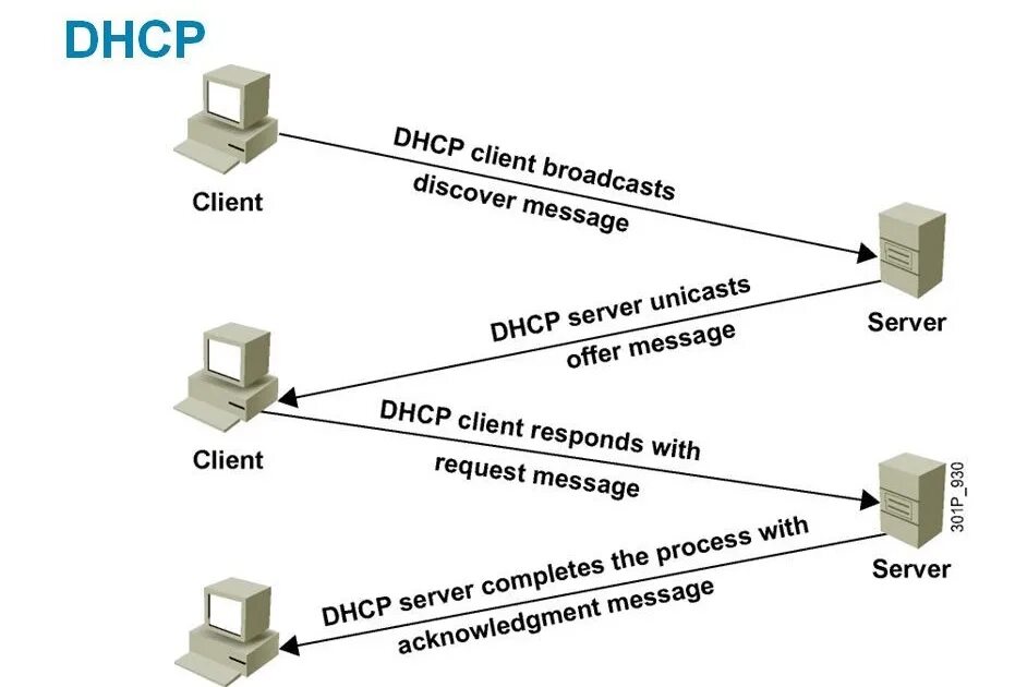 Подключение через dhcp Что такое и как работает DHCP-протокол Cloud4Y