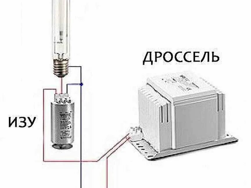 Подключение через дроссель лампа днат 400 для растений - Купить растения в России: цветы, саженцы, рассада 