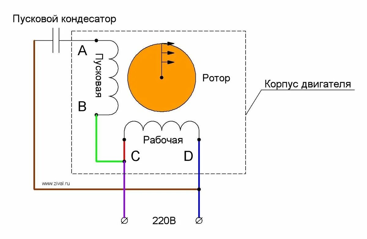 Подключение через конденсатор обмоток электродвигателя Однофазный двигатель насоса. Разбираем понятие... Все о насосах и даже больше! Д