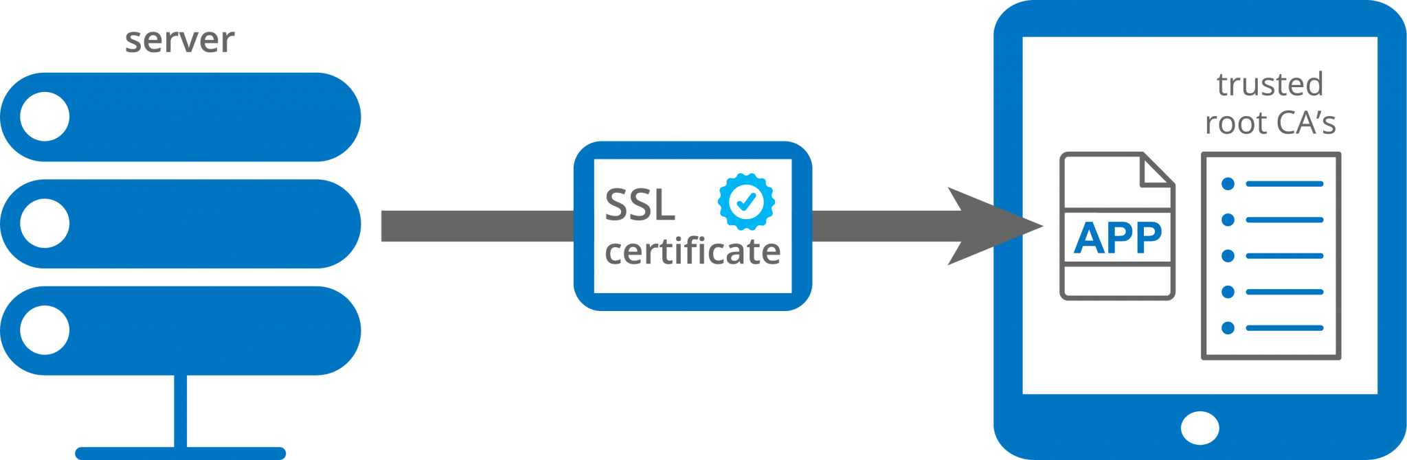 Подключение через ssl reported " Developer.Team - Developers Paradise!