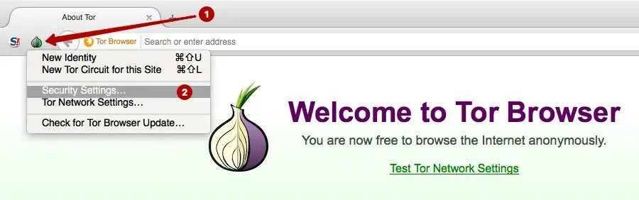 Подключение через tor Как работать с браузером Тор - блокируем определение своего местонахождения при 