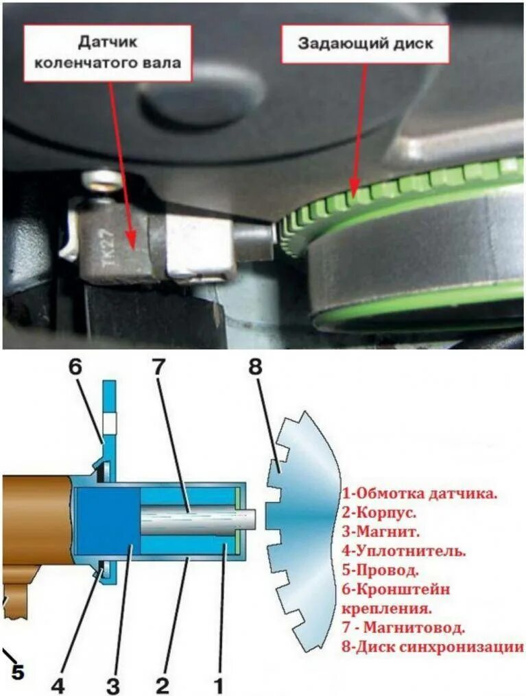 Датчик положения коленчатого вала.(ДПКВ) - Volkswagen Passat B3, 1,6 л, 1989 год