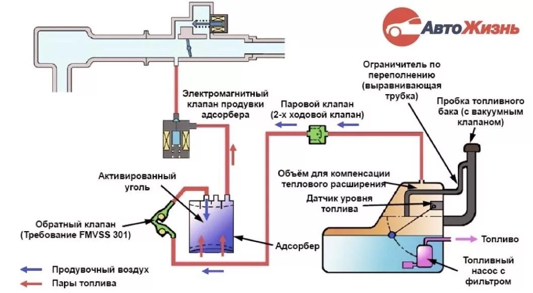 Подключение датчика абсорбера Адсорбер топливной системы автомобиля: из чего состоит и как работает? " АвтоСов