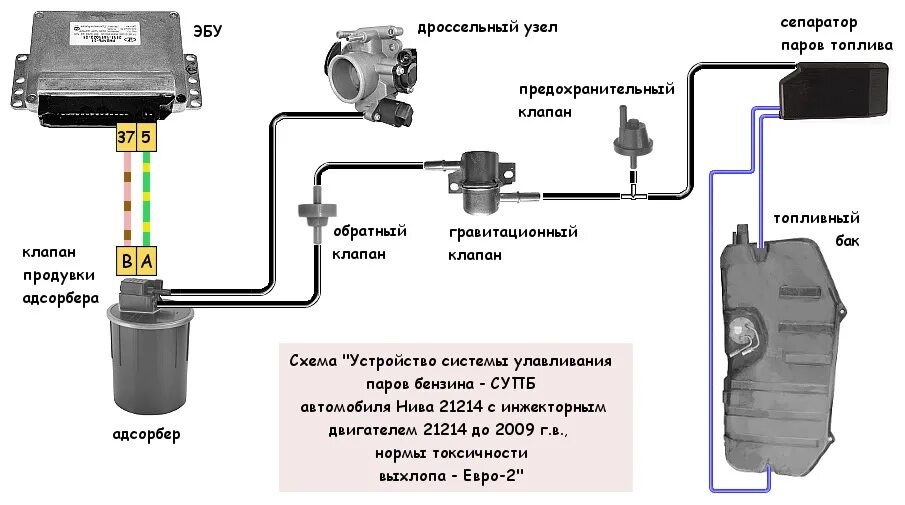 Подключение датчика абсорбера Запах бензина в салоне 21214 (замена сепаратора) - Lada 4x4 3D, 1,7 л, 2006 года