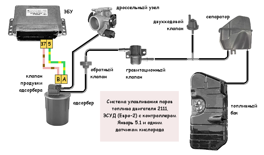 Подключение датчика абсорбера Почему и куда пропадает давление в топливной рампе двигателя автомобиля? TWOKARB