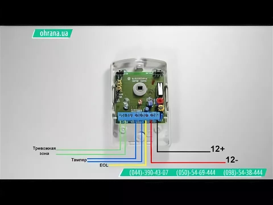 Подключение датчика движения охранной сигнализации Датчик движения Swan Quad - YouTube