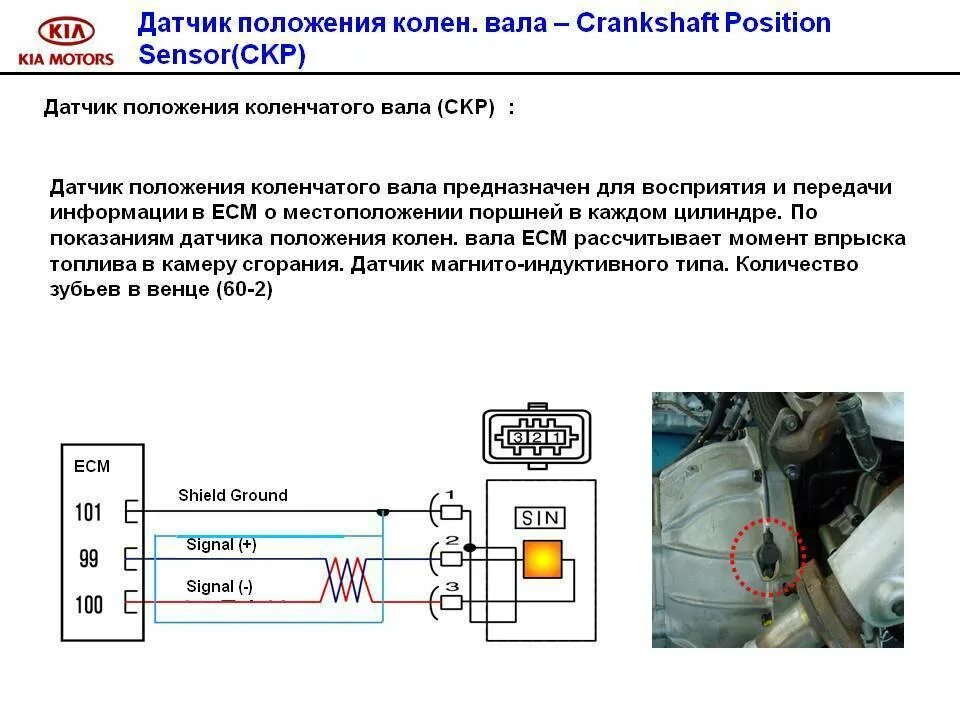 Подключение датчика коленвала Как проверить дпкв лада - фото - АвтоМастер Инфо