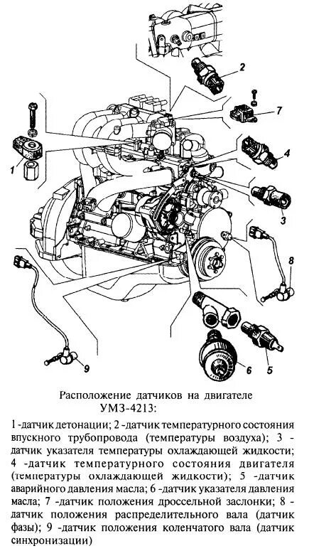 Подключение датчика коленвала двигатель 4216 схема Расположение датчиков газель: найдено 88 картинок