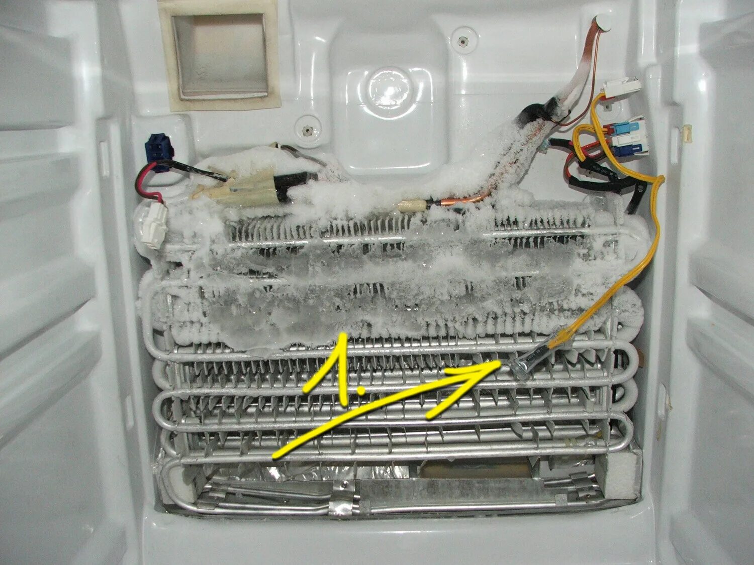 Подключение датчика оттайки холодильника Заправка фреоном холодильника в Шуе - Ремонт и установка холодильников - Ремонт 