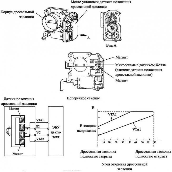 Подключение датчика заслонки System zarządzania silnikiem 1ZZ-FE i 3ZZ-FE - opis konstrukcyjny (Toyota Coroll