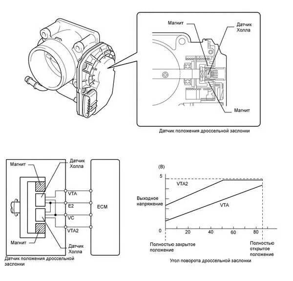Подключение датчика заслонки Влияние датчика положения дроссельной заслонки на процесс запуска двигателя - ва