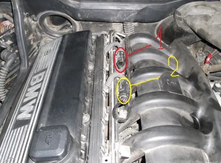 Подключение датчиков бмв е39 Вопрос по лямбдам - BMW 5 series (E39), 2,8 л, 1997 года другое DRIVE2