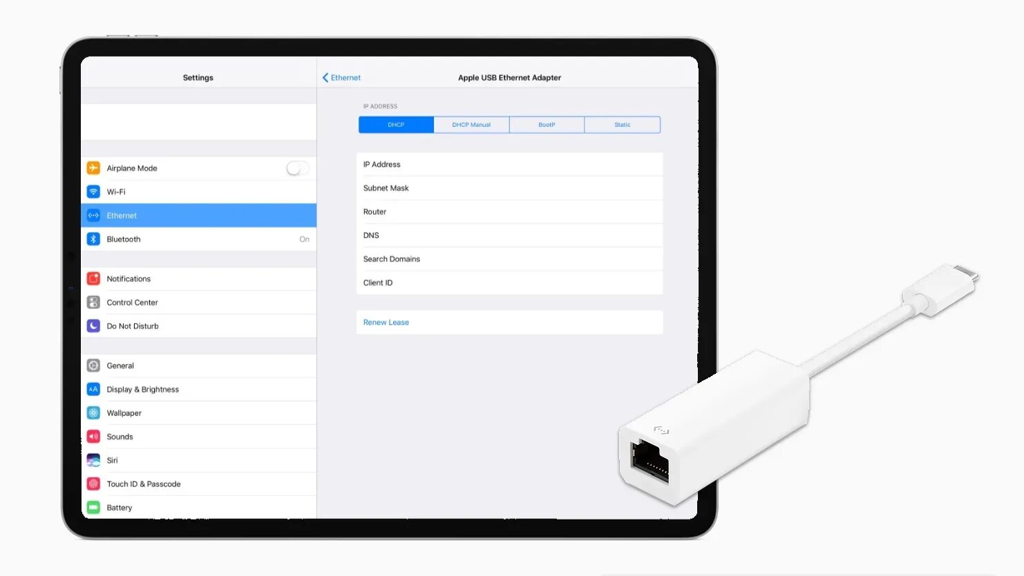 Подключение других устройств к айфону switch - Connecting iPad Pro to the internet via Ethernet - Server Fault