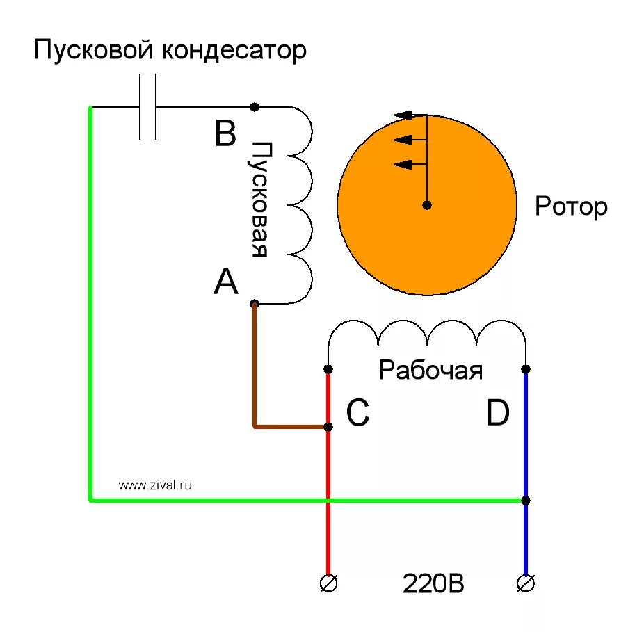Подключение двигателя 220 с пусковой обмоткой Как изменить направление вращения однофазного асинхронного двигателя Ремонт торг
