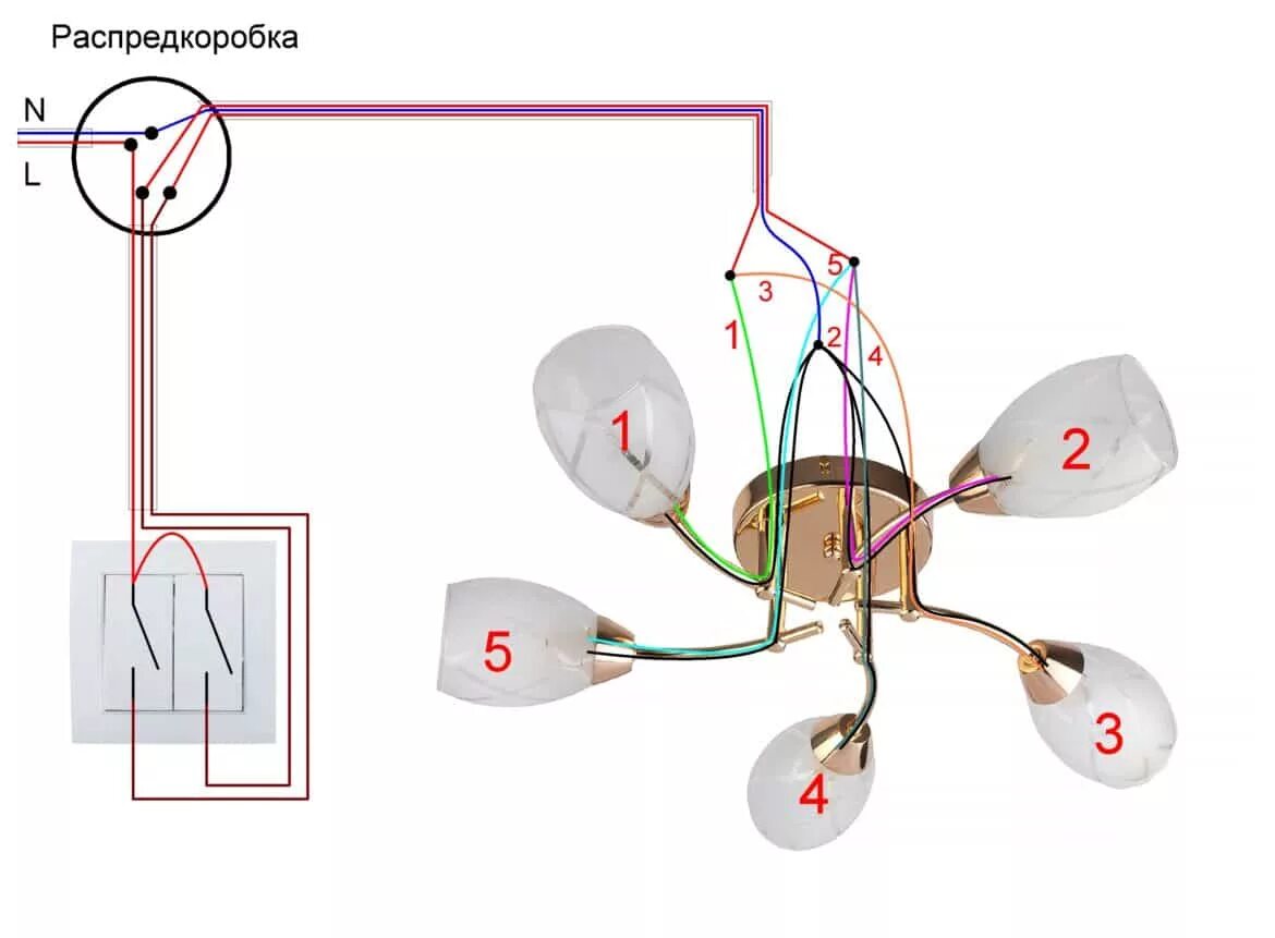 Подключение двойного выключателя на 5 лампочек Схема подключения двухклавишного выключателя: к люстре, к двум светильникам