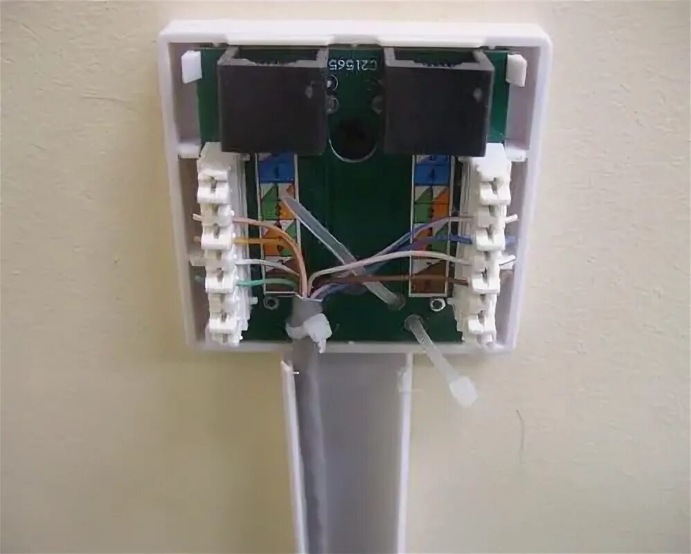 Подключение двойной интернет розетки к одному кабелю Розетка rj 45 установка