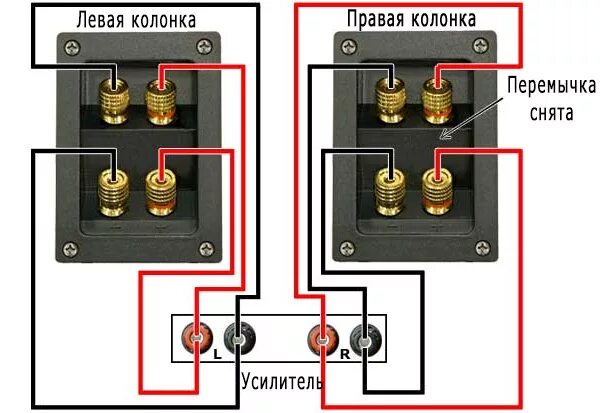 Подключение двух колонок между собой через провод Выбор усилителя, кабеля, и подключение колонок