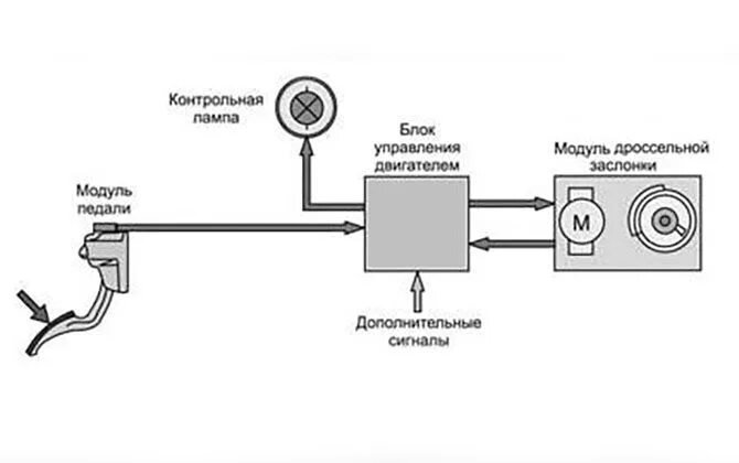 Подключение электронной педали газа Где газ, где тормоз на автомате: расположение педалей на АКПП