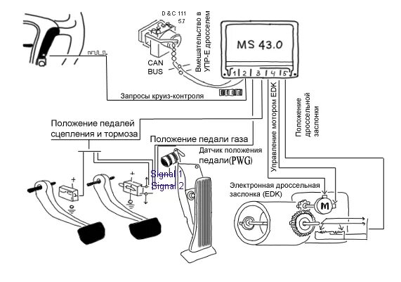 Подключение электронной педали газа Что такое EAS?