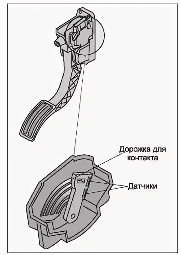 Подключение электронной педали газа Электронный привод акселератора современного автомобиля - RadioRadar