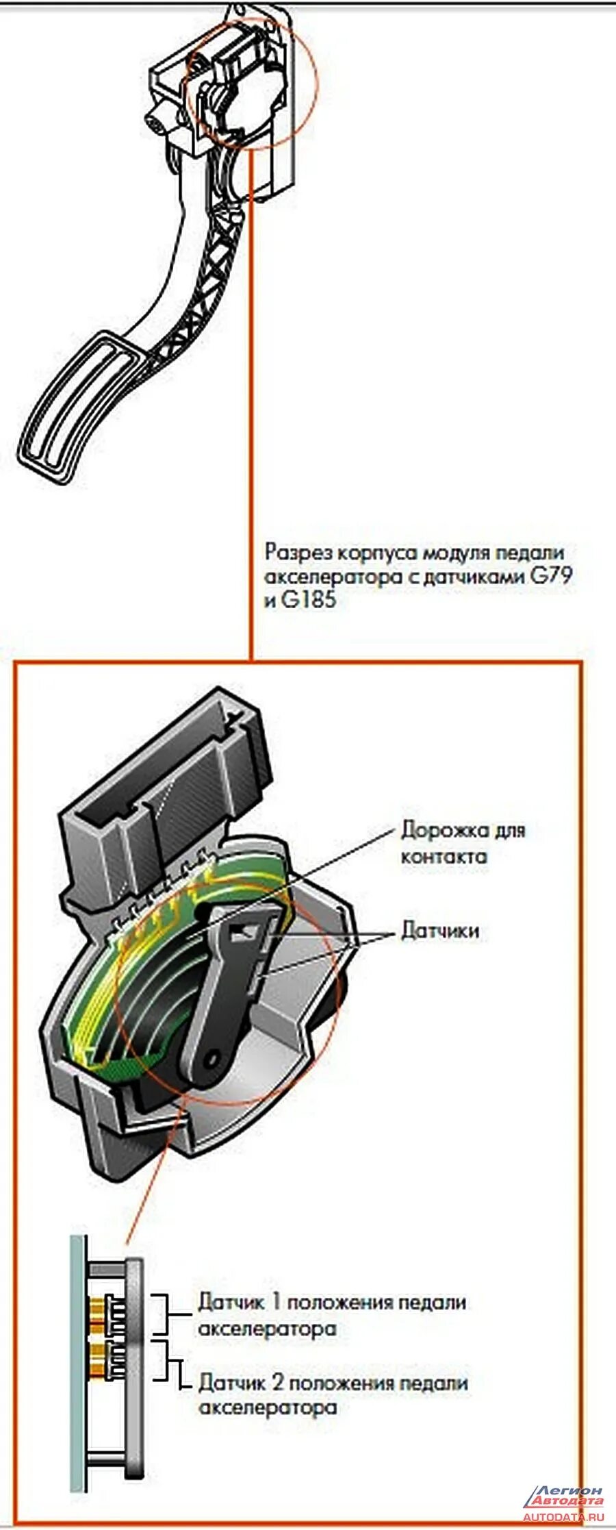 Подключение электронной педали газа Электронная педаль газа Opel Corsa C