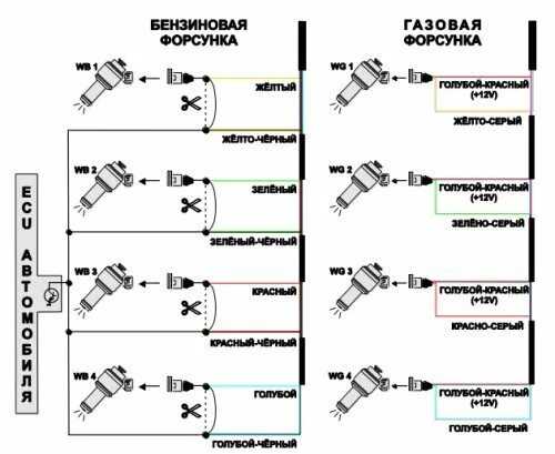 Подключение газа к форсункам Подключение ловато 4 поколения на Газель