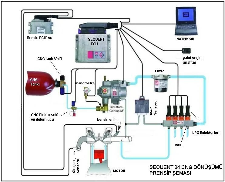 Подключение газового контроллера цит плюс Подключение газового оборудования в доме: найдено 88 изображений