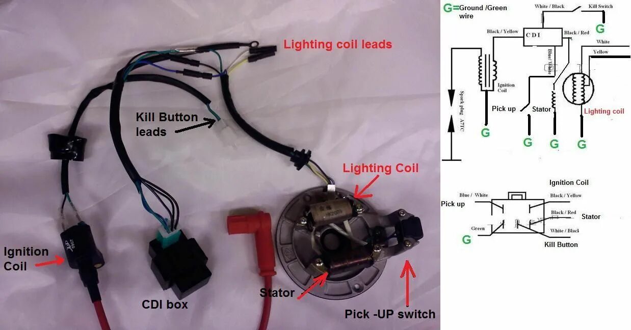 Подключение генератора питбайк TBolt USA, LLC Pit bike, Motorcycle wiring, Bike engine