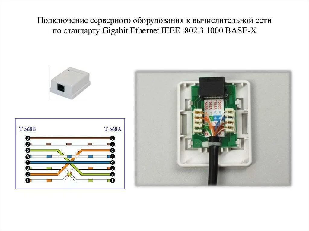 Подключение интернет кабеля к розетке 8 проводов Как подключить интернет розетку и коннектор: фото, видео