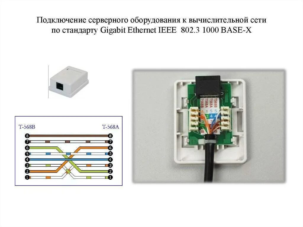 Подключение интернет кабеля к розетке по цветам Как подключить интернет розетку и коннектор: фото, видео