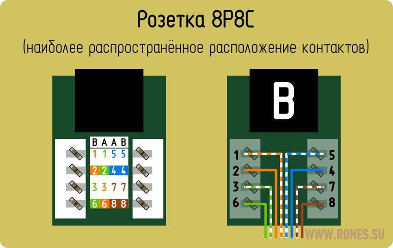 Подключение интернет розетки 8 жил Модульный коннектор 8P8C "RJ45"