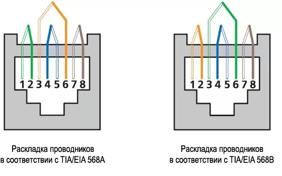 Подключение интернет розетки по а или б Коннектор Rj-45 Hyperline PLUG-8P8C-U-C6-SH-100 кат. 6/6а экранированный купить 