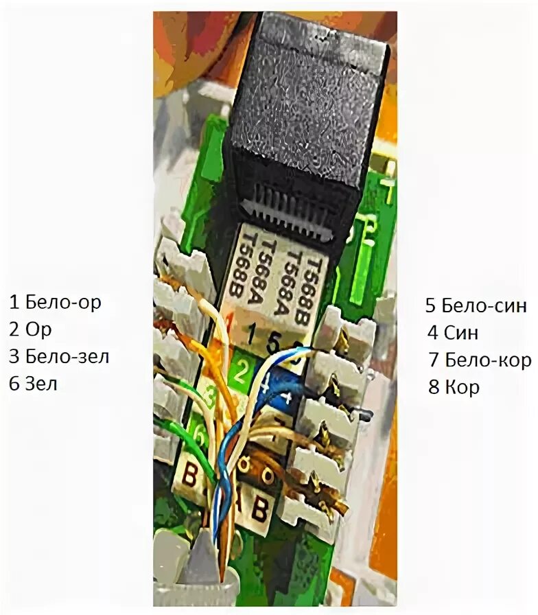 Подключение интернет розетки по цветам levolo НОУ ИНТУИТ Компьютерные сети. Лекция 1: Обжимаем витую пару и розетку