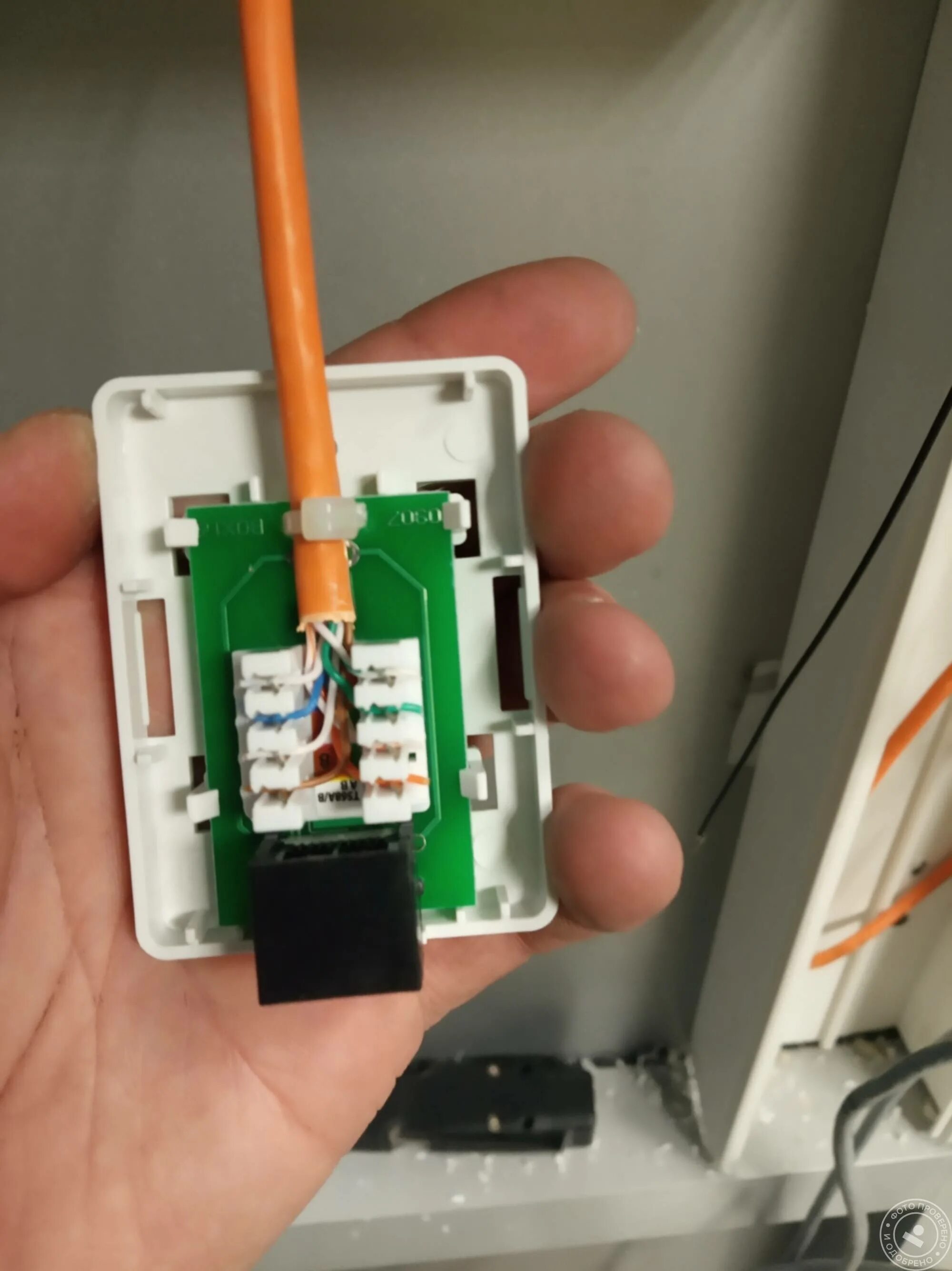 Подключение интернет розетки rj 45 Интернет розетка провод