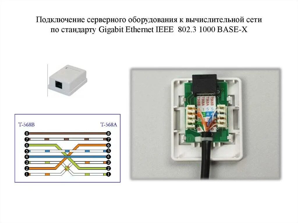 Подключение ip розетки Как подключить интернет розетку и коннектор: фото, видео