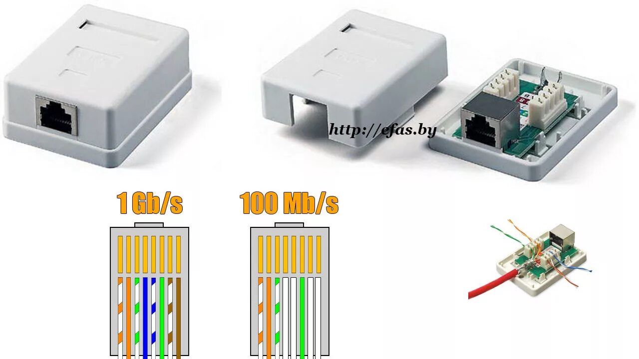 Подключение к двойной розетке rj 45 Подключение интернет розетки