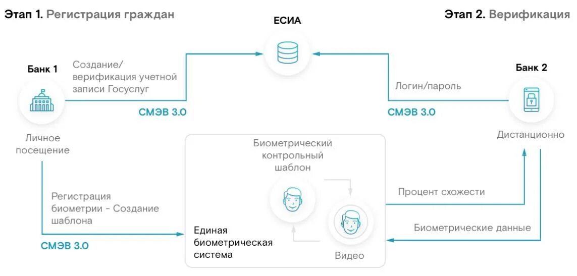 Подключение к единой биометрической системе Биометрический паспорт в банке - как работает ЕБС? - Татцентр.ру