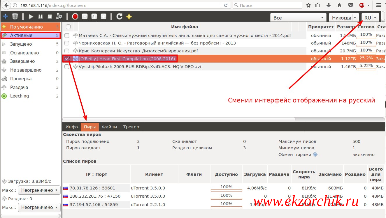 Подключение к пирам 2024 Web-интерфейс управления Torrent’ами на Raspberry Pi 3 Model B - Реальные заметк