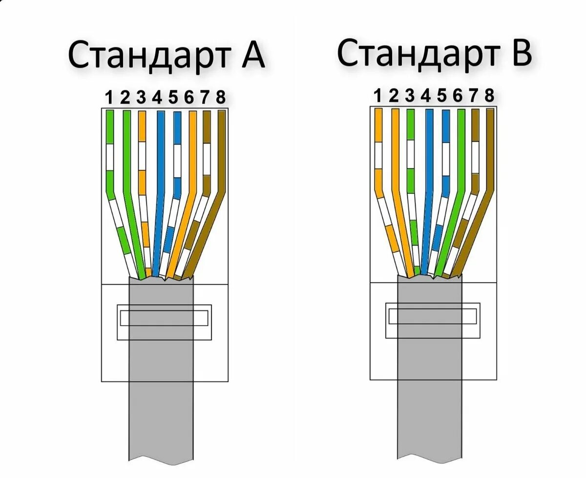 Подключение кабеля через карт Кабель витая пара 8 жил фото - DelaDom.ru
