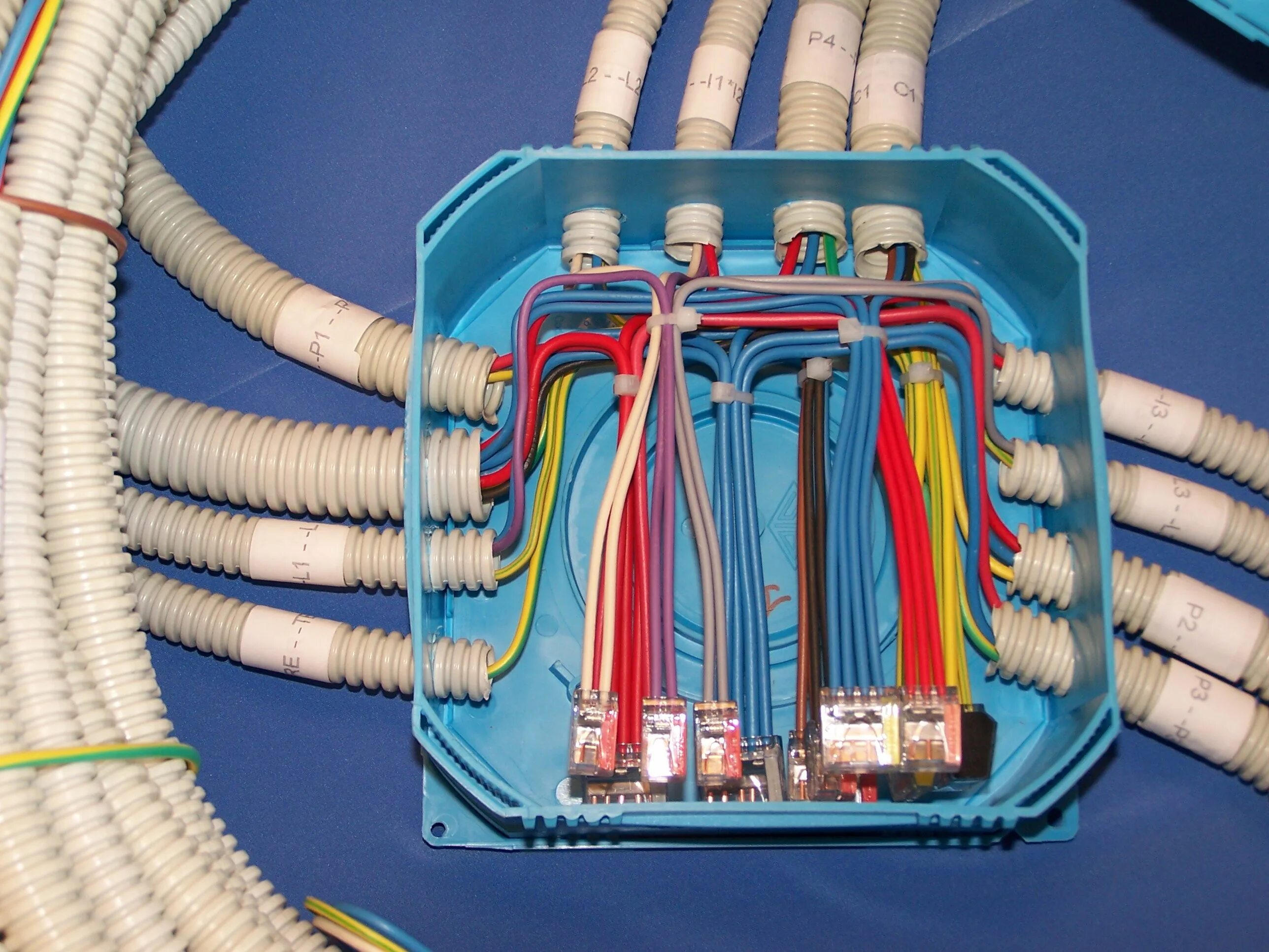 Подключение кабеля фото Electrical installation, Electrical projects, Electricity