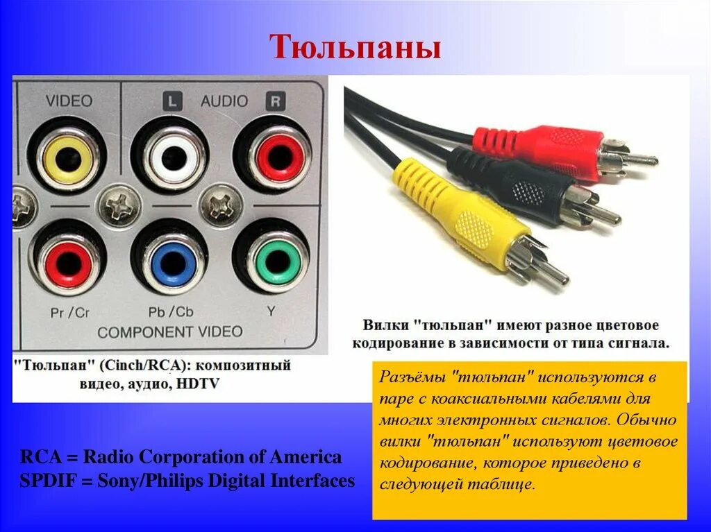 Подключение кабеля тюльпан к телевизору Тюльпан разъемы фото - DelaDom.ru