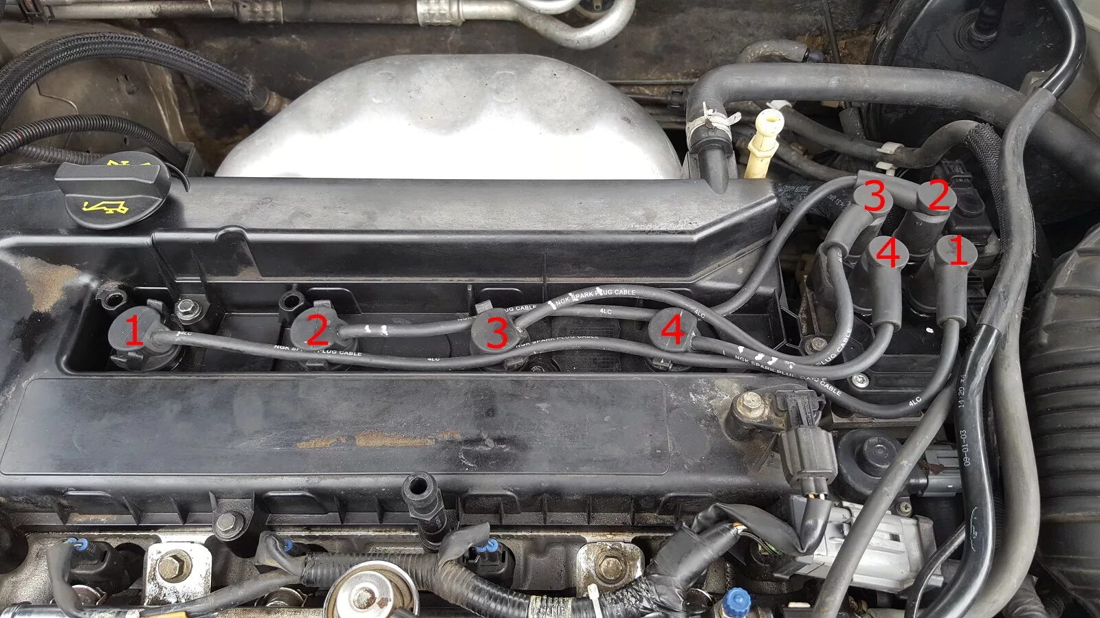 Подключение катушки форд фокус 1 Ignition 2.0L Duratec MK3 Ford Automobiles Forum