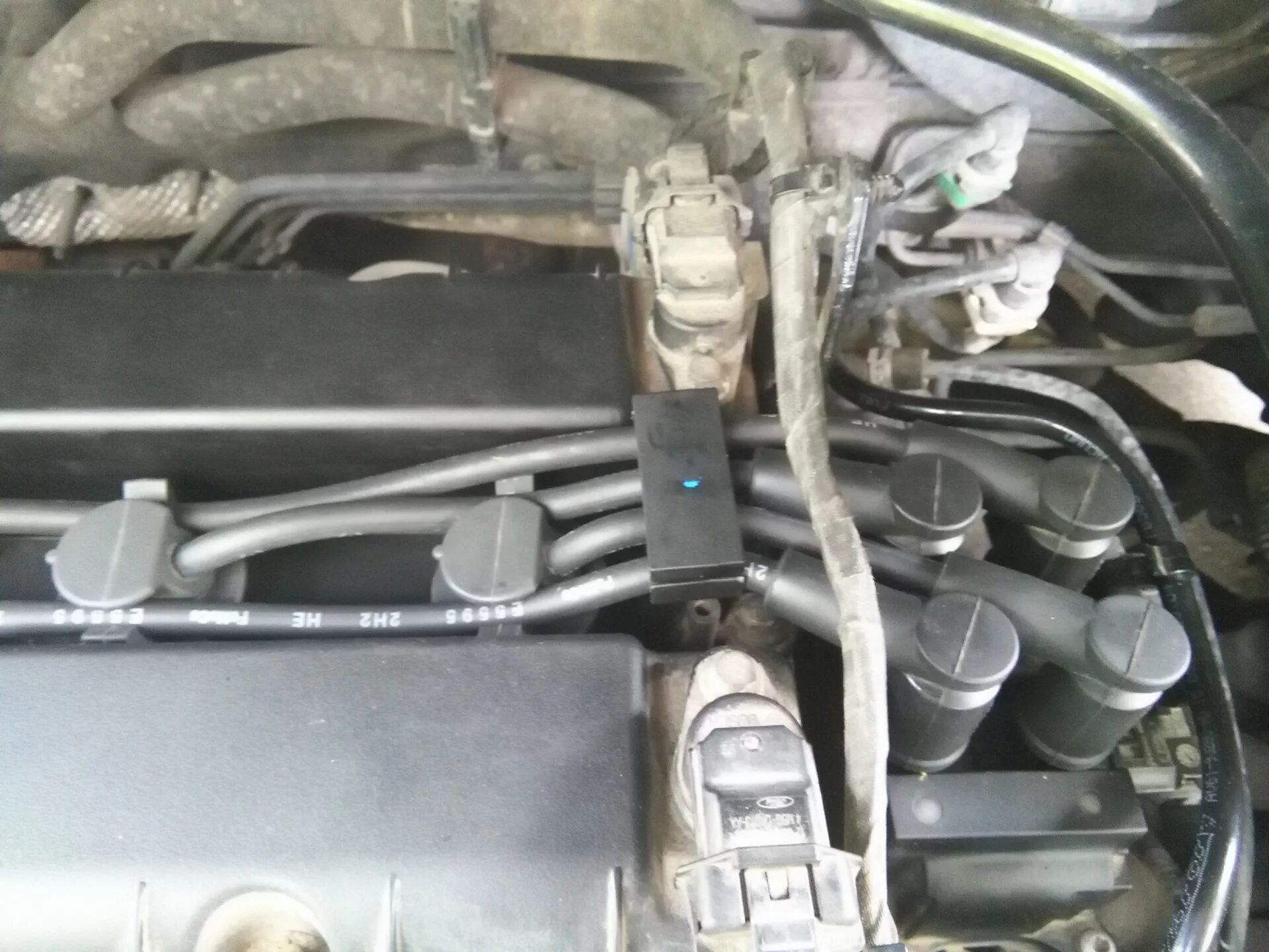 Подключение катушки форд фокус 1 Чистка ВВ проводов - Ford Focus III Sedan, 1,6 л, 2012 года электроника DRIVE2