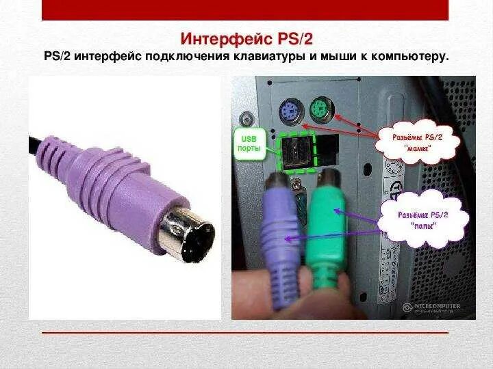 Подключение клавиатуры и мыши к компьютеру Картинки ИНТЕРФЕЙСЫ КЛАВИАТУРЫ И МЫШИ